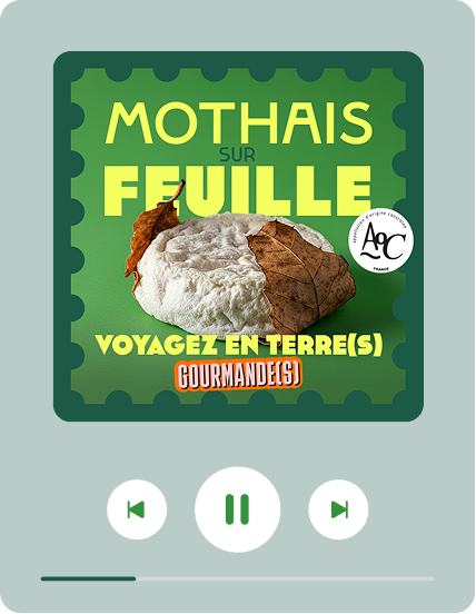 PODCAST mothais sur feuille aop